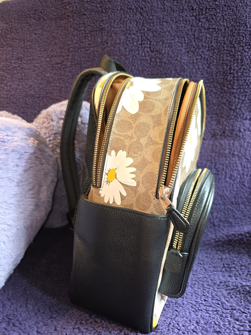 Coach Daisy Print Backpack — Brown/Black/White - Picture 2 of 8
